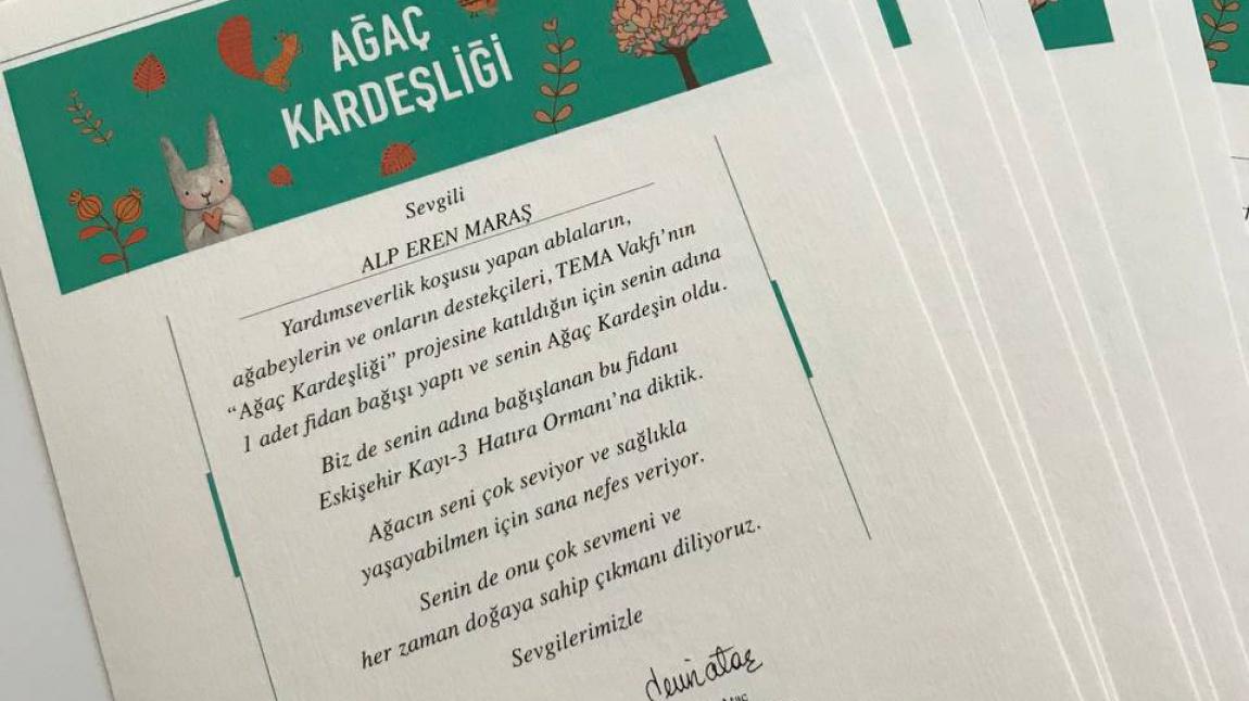 3/F SINIFININ TEMA AĞAÇ KARDEŞLİĞİ PROJESİ