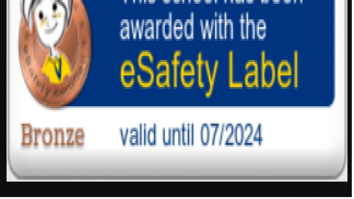 eSafety Label Bronze Etiketimizi Aldık